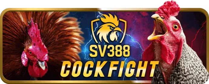 Hướng dẫn chơi slot game ok3565 nhà cái